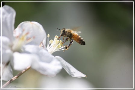 待ち箱ルアー正規品 【10個セット】(大特価!・期間限定品)※税込み・送料込み