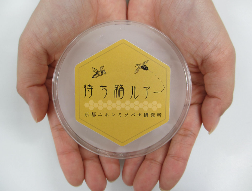 【超特価セール中！】日本みつばち誘引セット～「待ち箱ルアー＆日本ミツバチの蜜蝋１００ｇ」(※税込み・送料込み)