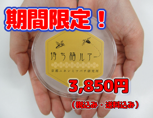 待ち箱ルアー正規品 (大特価！・期間限定品）※税込み・送料込み