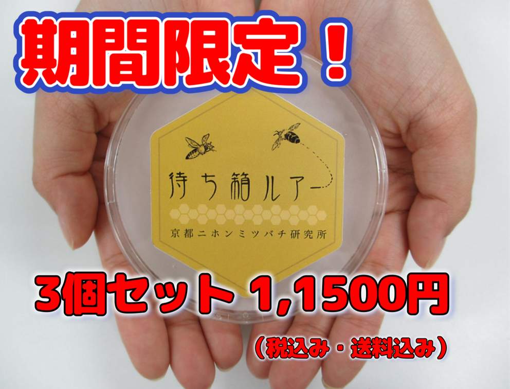 待ち箱ルアー正規品 【3個セット】(大特価！・期間限定品）※税込み・送料込み