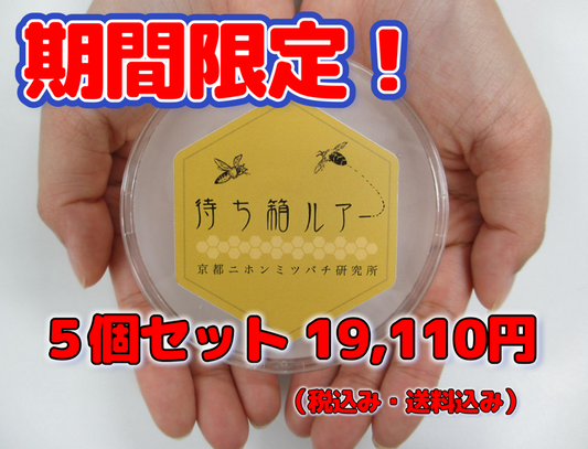 待ち箱ルアー正規品【5個セット】 (大特価！・期間限定品）※税込み・送料込み
