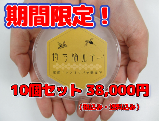 待ち箱ルアー正規品 【１０個セット】(大特価！・期間限定品）※税込み・送料込み