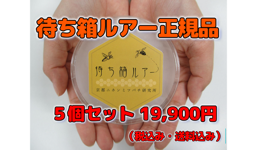待ち箱ルアー正規品【5個セット】～ニホンミツバチ分蜂群誘引用 ※税込み・送料込み