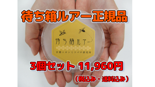 待ち箱ルアー正規品 【3個セット】～ニホンミツバチ分蜂群誘引用 ※税込み・送料込み